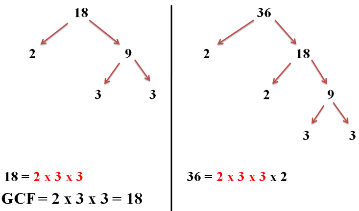 What Is The Gcf Of 18 And 100